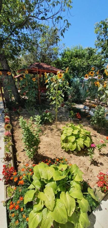 Bed and Breakfast Balla House Tarcaia Экстерьер фото
