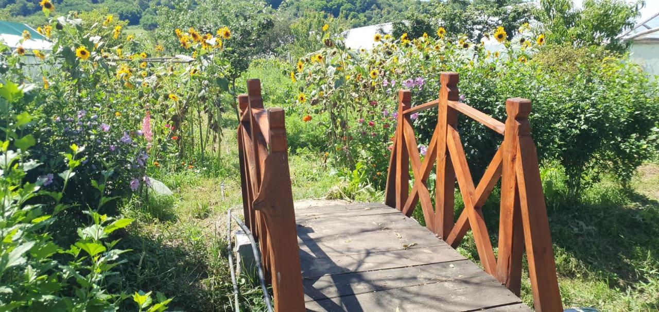 Bed and Breakfast Balla House Tarcaia Экстерьер фото
