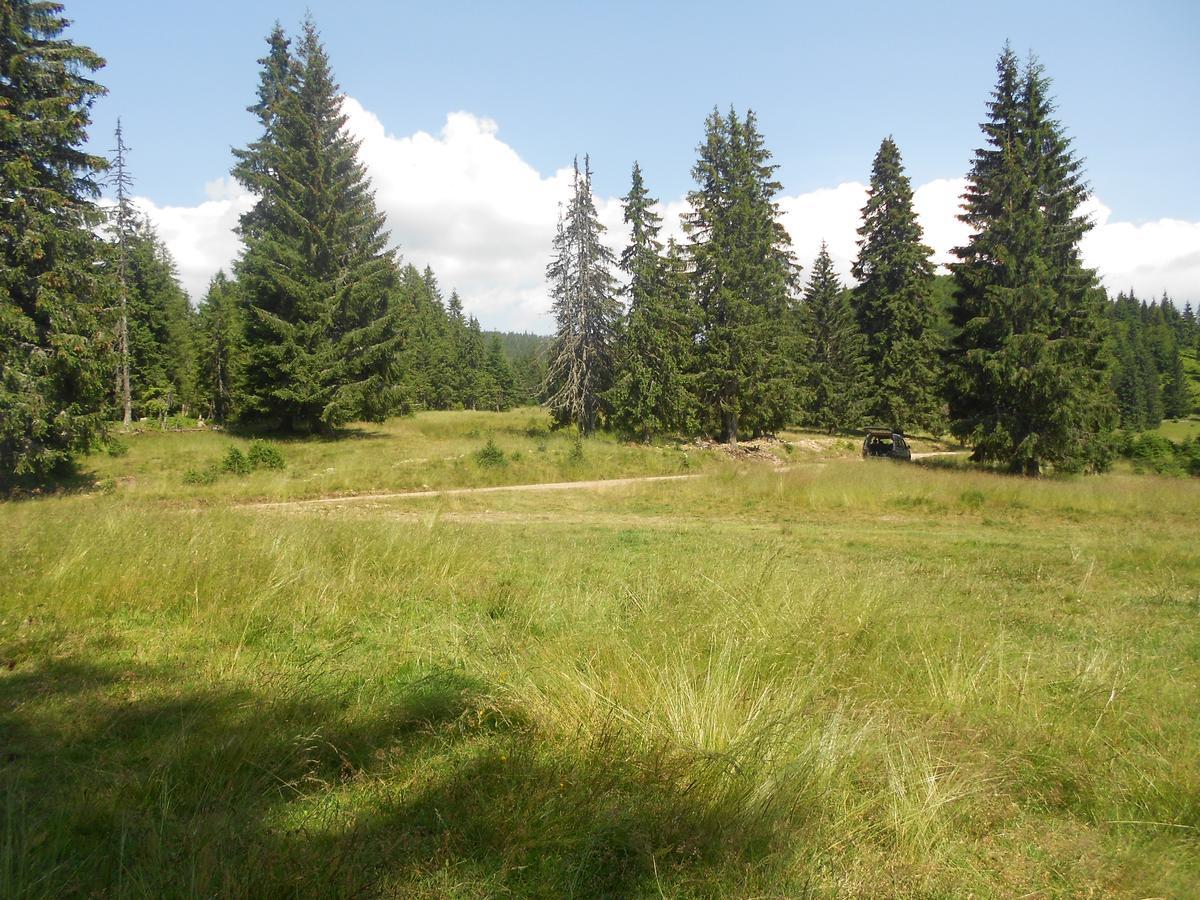 Bed and Breakfast Balla House Tarcaia Номер фото